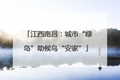 江西南昌：城市“绿岛”助候鸟“安家”