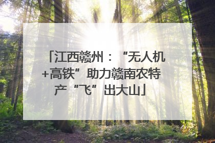 江西赣州：“无人机+高铁”助力赣南农特产“飞”出大山