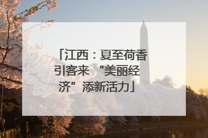 江西：夏至荷香引客来 “美丽经济”添新活力