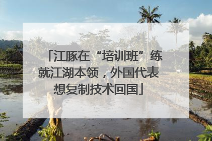江豚在“培训班”练就江湖本领，外国代表想复制技术回国