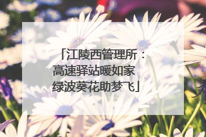 江陵西管理所：高速驿站暖如家 绿波葵花助梦飞