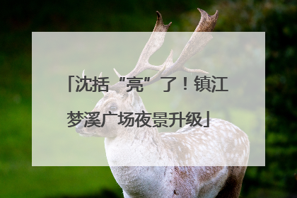 沈括“亮”了！镇江梦溪广场夜景升级