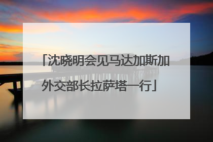 沈晓明会见马达加斯加外交部长拉萨塔一行