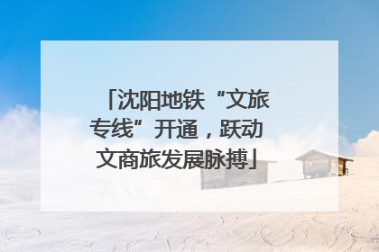 沈阳地铁“文旅专线”开通，跃动文商旅发展脉搏