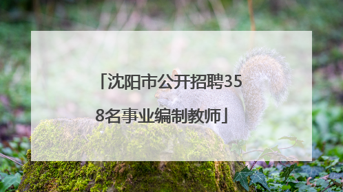 沈阳市公开招聘358名事业编制教师