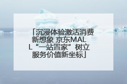沉浸体验激活消费新想象 京东MALL“一站置家”树立服务价值新坐标