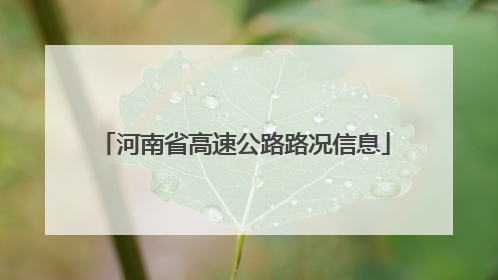 河南省高速公路路况信息