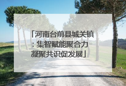 河南台前县城关镇：集智赋能聚合力 凝聚共识促发展