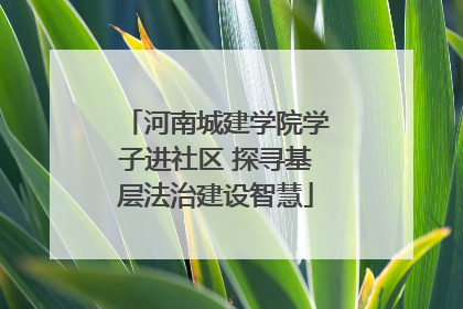 河南城建学院学子进社区 探寻基层法治建设智慧