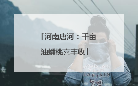 河南唐河：千亩油蟠桃喜丰收
