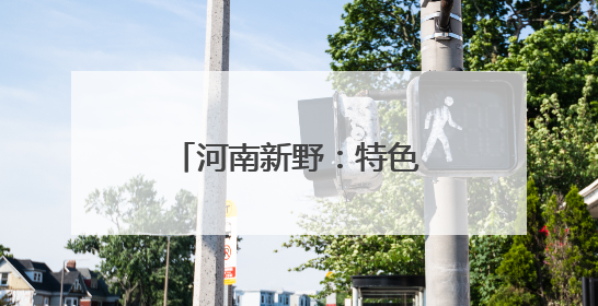 河南新野：特色“小土豆”变身致富“金豆豆”