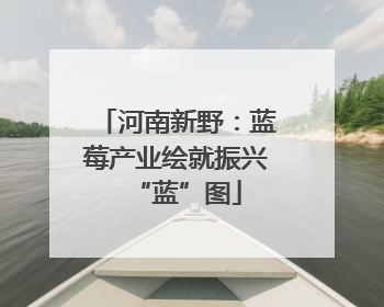 河南新野：蓝莓产业绘就振兴“蓝”图