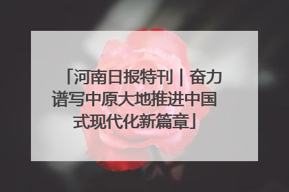 河南日报特刊｜奋力谱写中原大地推进中国式现代化新篇章