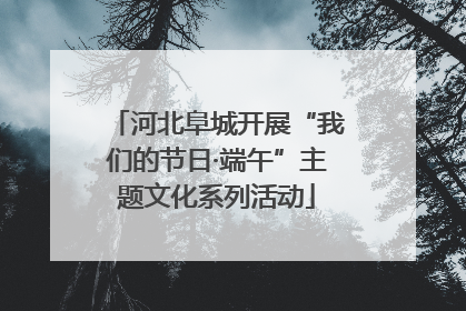 河北阜城开展“我们的节日·端午”主题文化系列活动
