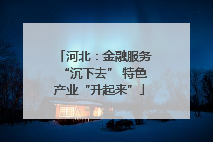 河北：金融服务“沉下去” 特色产业“升起来”