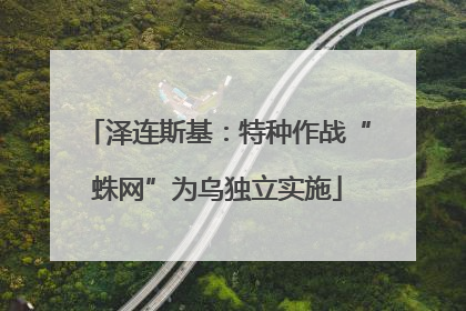 泽连斯基：特种作战“蛛网”为乌独立实施