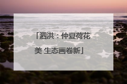 泗洪：仲夏荷花美 生态画卷新