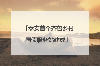 泰安首个齐鲁乡村国债服务站建成