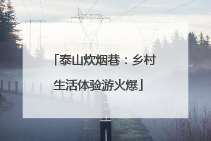 泰山炊烟巷：乡村生活体验游火爆