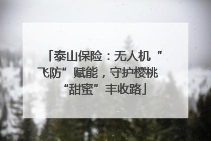 泰山保险：无人机“飞防”赋能，守护樱桃“甜蜜”丰收路