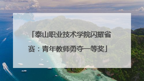 泰山职业技术学院闪耀省赛：青年教师勇夺一等奖