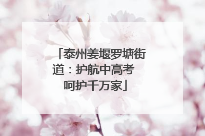 泰州姜堰罗塘街道：护航中高考 呵护千万家