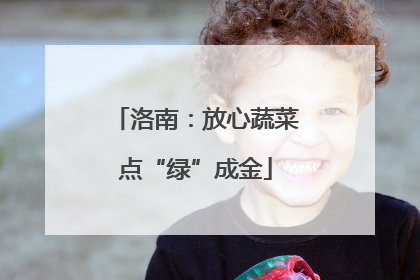 洛南：放心蔬菜点“绿”成金