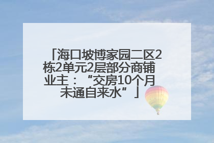 海口坡博家园二区2栋2单元2层部分商铺业主：“交房10个月未通自来水”
