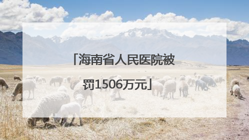 海南省人民医院被罚1506万元