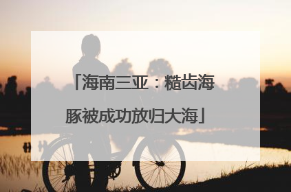 海南三亚：糙齿海豚被成功放归大海