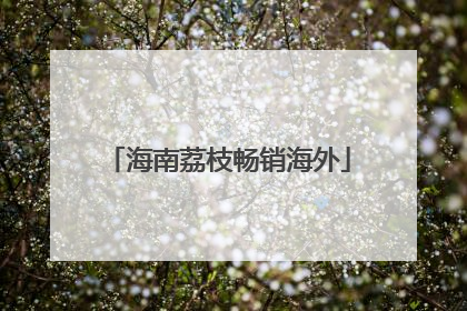 海南荔枝畅销海外