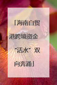 海南自贸港跨境资金“活水”双向奔涌