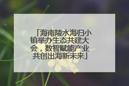 海南陵水海归小镇举办生态共建大会，数智赋能产业共创出海新未来
