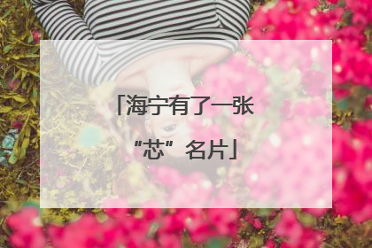 海宁有了一张“芯”名片