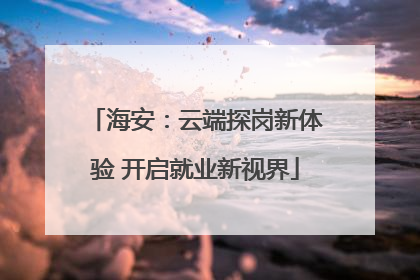 海安：云端探岗新体验 开启就业新视界