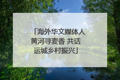 海外华文媒体人黄河寻麦香 共话运城乡村振兴