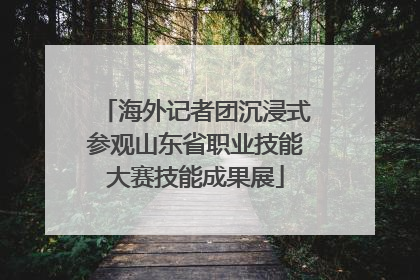 海外记者团沉浸式参观山东省职业技能大赛技能成果展