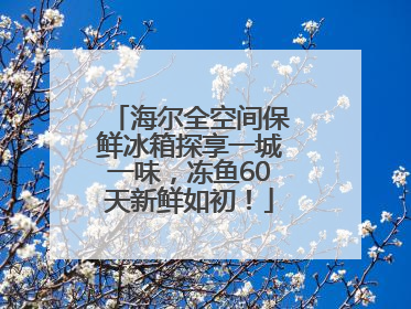 海尔全空间保鲜冰箱探享一城一味，冻鱼60天新鲜如初！