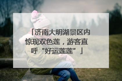 济南大明湖景区内惊现双色莲，游客直呼“好运莲莲”