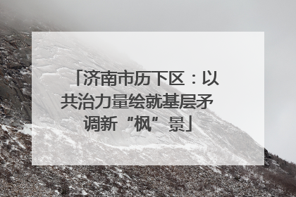 济南市历下区：以共治力量绘就基层矛调新“枫”景