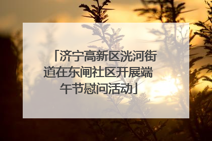 济宁高新区洸河街道在东闸社区开展端午节慰问活动