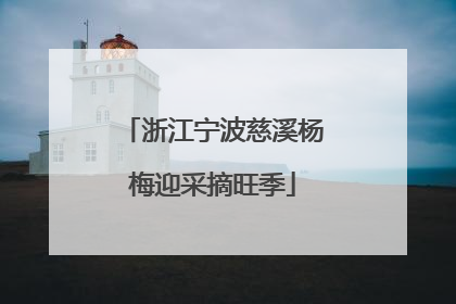 浙江宁波慈溪杨梅迎采摘旺季