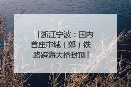 浙江宁波：国内首座市域（郊）铁路跨海大桥封顶