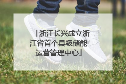 浙江长兴成立浙江省首个县级储能运营管理中心