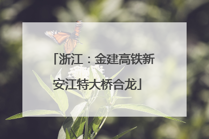 浙江：金建高铁新安江特大桥合龙