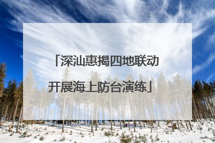 深汕惠揭四地联动开展海上防台演练