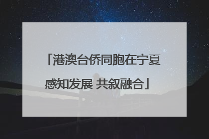 港澳台侨同胞在宁夏感知发展 共叙融合