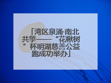 湾区泉涌·南北共擎——“花楸树”杯明湖慈善公益跑成功举办