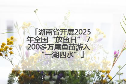 湖南省开展2025年全国“放鱼日” 7200多万尾鱼苗游入“一湖四水”