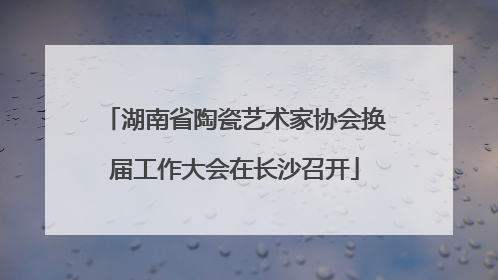 湖南省陶瓷艺术家协会换届工作大会在长沙召开